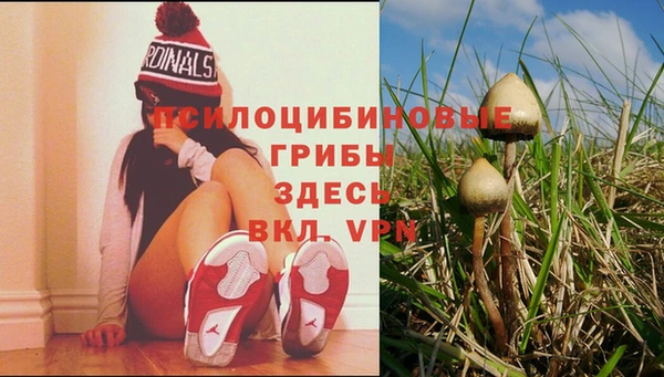 соль курить ск Алексеевка