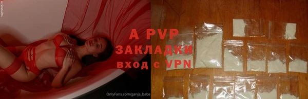 тгк Алексин