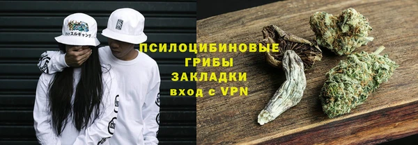 тгк Алексин