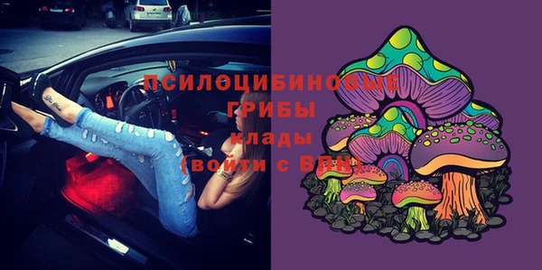 соль курить ск Алексеевка