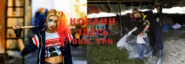 тгк Алексин